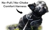 NEW GSM GPS Mini Collar Waterproof Realtime Tracker - Your Dog Safety Size:S