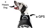 GPS Cell Phone Pet Tracker Realtime Tracking Device for Pet Security Size:XXL