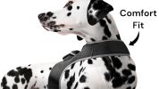 Action Triggered GPS Mobile Pet Tracker Realtime Security Surveillance Size:M
