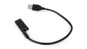 Dual Purpose Covert Hidd MIC REC Flash Drive Surveillance Audio Recorder