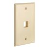 Cmple - 1 Port Keystone Wall Plate Single-Gang Wall Plate with Standard Size Ethernet Wall Plate Keystone Jack Insert - Ivory